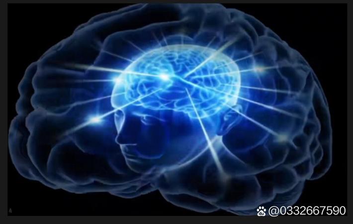 某综艺节目录制现场发生意外，嘉宾受伤送医